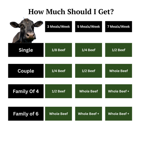 Bulk Beef Bundle - 1/8th Beef - (Most Popular)